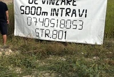Teren intravilan Oșorhei str 801 - 1