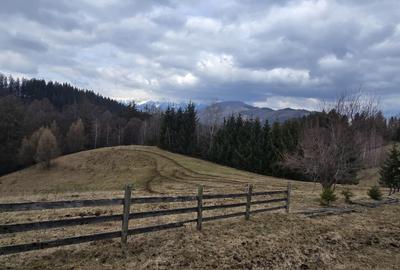 Teren Construcții intravilan de 3040 mp, în Bran - 3
