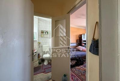 Apartament cu 2 camere semidecomandat, mobilat în Iosefin - 4