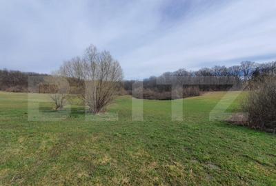 Teren de vanzare extravilan, 1ha, drumul Sigmirului - 5