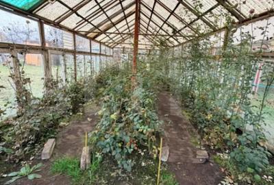 Casă cu 7 camere cu Canalizare în Tohanu Vechi - 13