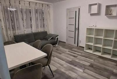 Apartament cu 2 camere semidecomandat în Traian - 8