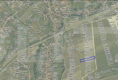 Teren intravilan 7.600 mp ideal pentru HALA industrial? - 1