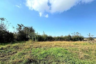 Livada+gradina, teren intravilan 2902mp, Damienesti-Bacau... - 14