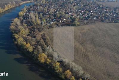 Teren de 19068 mp, în Malul Mureșului - 2
