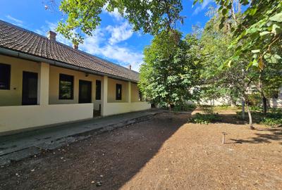 Cenad-Casa/Spatii Birouri- 150mp-teren 1065mp - 8