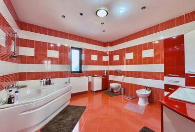 Casǎ Individualǎ/Pensiune/Turism - Ocna Sibiului - 1546 mp teren - 13