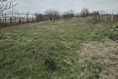 Casă cu 3 camere în Coslogeni - 3