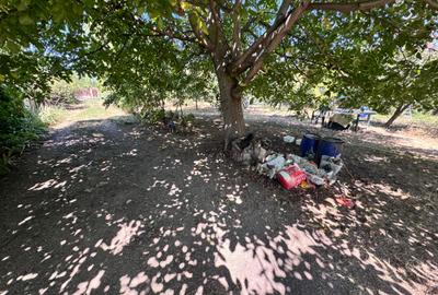 Casa individuala P+1+M amplasata pe un teren de 1612 mp. - 50