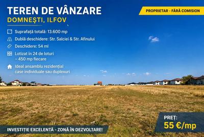 Spațiu comercial, în Domnești