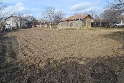 Casă cu 3 camere în Gruiu - 1