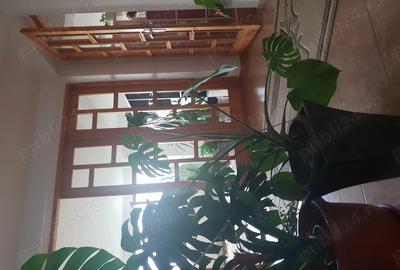 Casa de vanzare pentru doua familii - 5