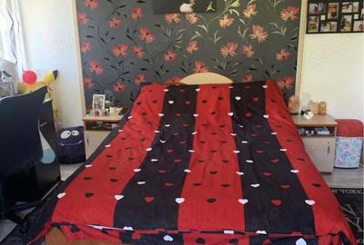 Casa parter +1 Vrancea (pre? in euro) - 7