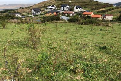 Spațiu comercial, în Tăuți - 5