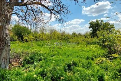 In rate, teren 509 mp, com. Vernesti-sat Carlomanesti - 3