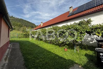 Casa saseasca de vanzare + bonus doua terenuri Seica Mare Sibiu - 5
