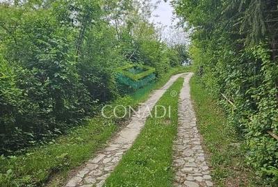 Teren Construcții intravilan de 800 mp, în Exterior Vest - 20