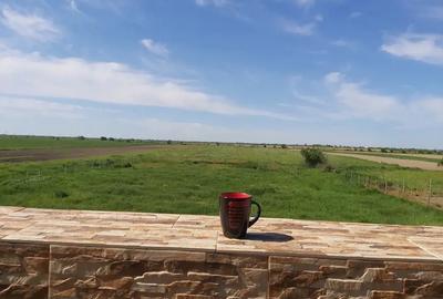 Casa si teren vanzare Catanele Casa si teren vanzare Catanele - 5