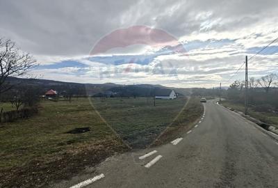 Teren Construcții intravilan de 2007 mp, în Șurdești - 3