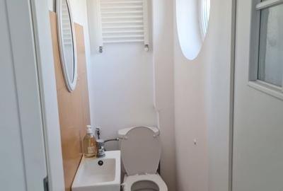 Apartament 3 camere Armeneasca - 20