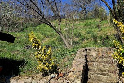 Spațiu comercial, în Central - 1