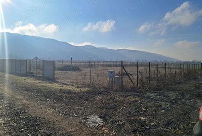 Teren de 8700 mp, în Livada (Iclod) - 5