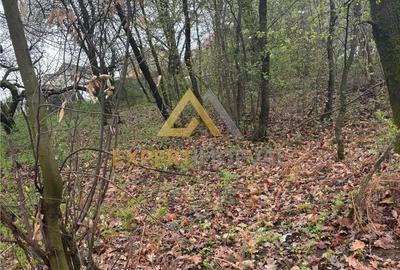 Teren de 1000 mp, în Groși