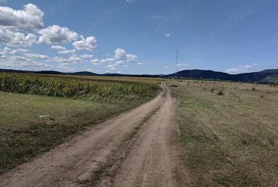 Teren de 10800 mp, în Central - 5