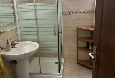 Apartament cu 3 camere decomandat, mobilat în Burdujeni - 6