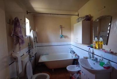 Casă individuală cu 4 camere cu Teren 3892 Mp în Baia de Criș - 16