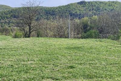 Teren de 1000 mp, în Mierea - 1