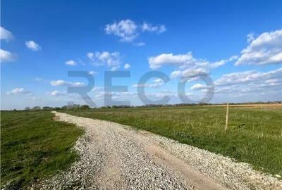 Teren de 848 mp, în Tărian - 1