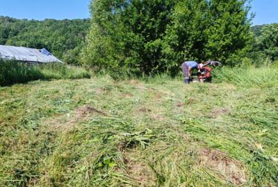 Teren intravilan 4.183 mp Cobia, sat Mislea ie?ire - 3