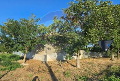 Casa de vanzare in Graniceri aproape de Arad - 3