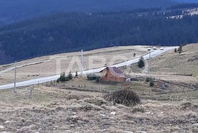 De vanzare teren extravilan 3854 mp acces auto Paltinis Sibiu - 4