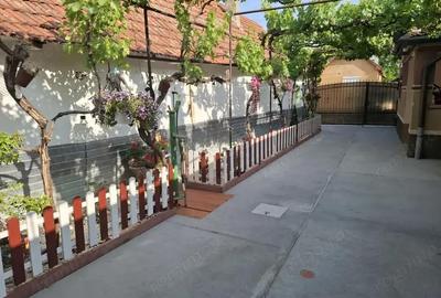 Casă cu 3 camere cu Teren 852 Mp în Nădlac - 11