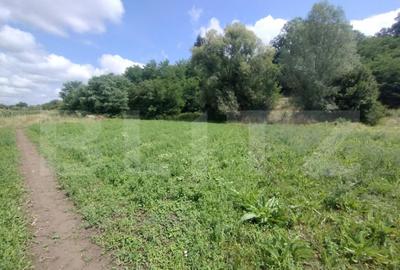 Teren extravilan,850 mp,ideal de cabana,zona Blajeni de Jos - 8