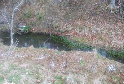 Spațiu comercial, în Paltin - 14