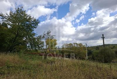 Teren intravilan cu Puz si priveliște deosebită, spre Cetatea Cisnădioara - 14