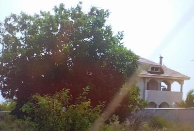 Teren 15000 mp Vernesti, Buzau cu PUZ - 4