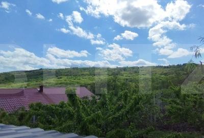 Casa+ casa vacanta, 2200 mp livada, Schitu-Duca - 3