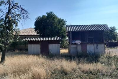 Propietar,vand casa locuibila,necesita renovare 1400 m 2 Radulesti teleorman - 2