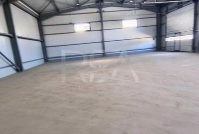 Spațiu industrial, de 440 mp, în Domnești - 1
