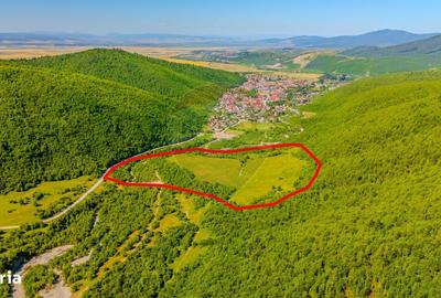 Spațiu comercial, în Gârcini - 2