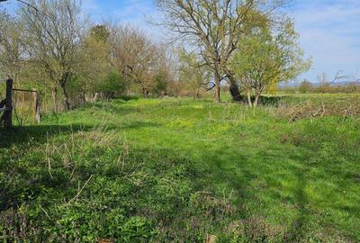 Casă cu 2 camere în Exterior Vest - 5