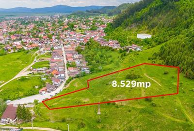 COMISION 0% Teren de 8529 mp/Bunloc/Intravilan - 6