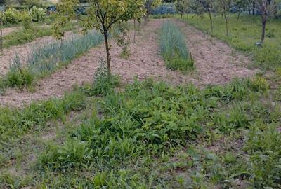 Casă cu 3 camere în Dragu - 2