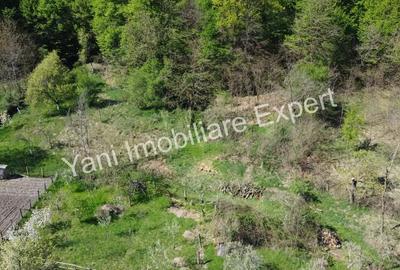 Teren de 1267 mp, în Băiculești - 6