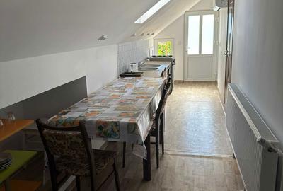 Casă cu 2 camere în Viișoara - 2