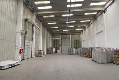 Spațiu industrial, 1300 mp în Griviței